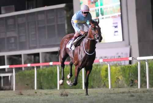 İZMİR TAHMİNLERİM - 16 AĞUSTOS
