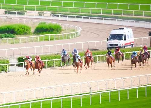 ANKARA TAHMİNLERİM - 15 AĞUSTOS