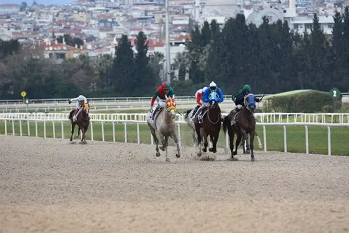 İZMİR TAHMİNLERİM - 29 AĞUSTOS