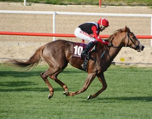 BURSA TAHMİNLERİM - 24 AĞUSTOS