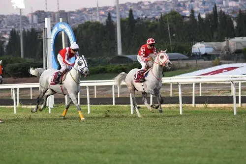 İZMİR TAHMİNLERİM - 10 EYLÜL