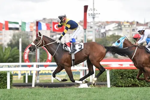 İSTANBUL TAHMİNLERİM - 9 EYLÜL