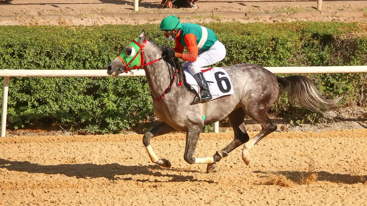 ANKARA TAHMİNLERİM - 3 EYLÜL