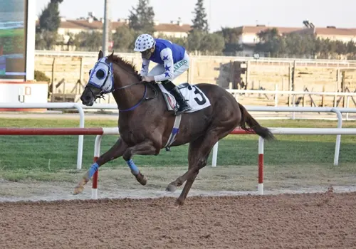 ADANA ŞABLONUM - 6 EYLÜL