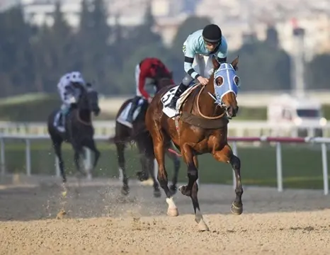İZMİR TAHMİNLERİM - 4 EYLÜL