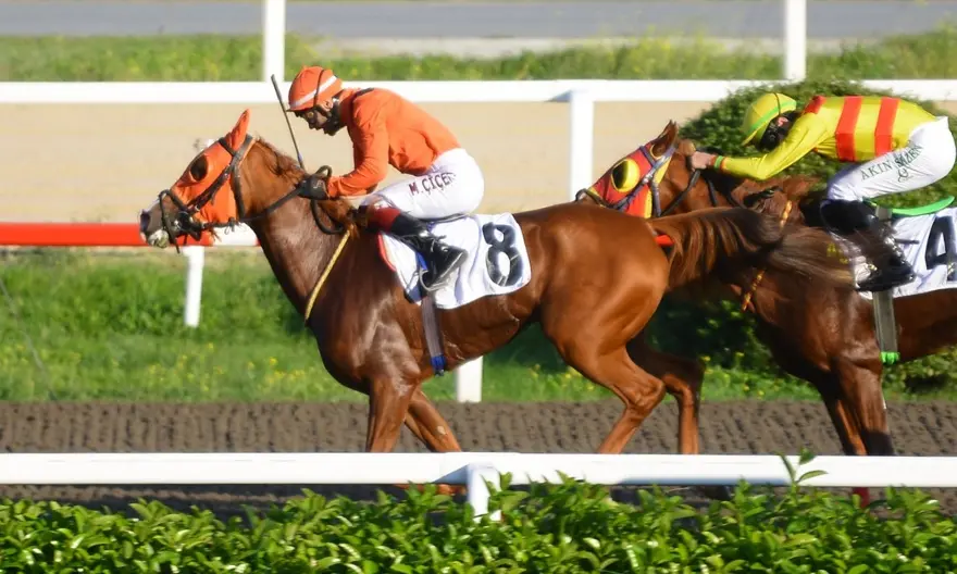 İSTANBUL TAHMİNLERİM - 11 EYLÜL